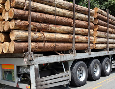 Step.04 伐採した木材の運搬